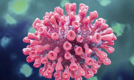 北京“服装店传播链”已有16人感染，新冠病毒在织物表面存活时间有多长？