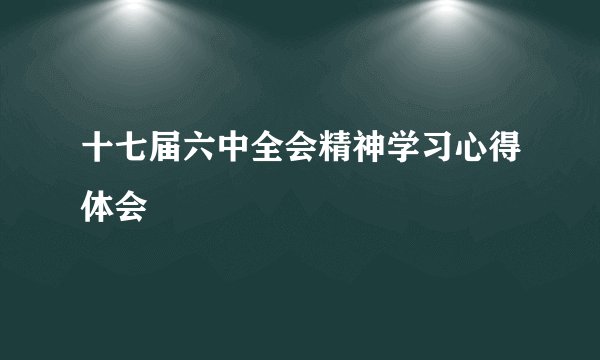 十七届六中全会精神学习心得体会