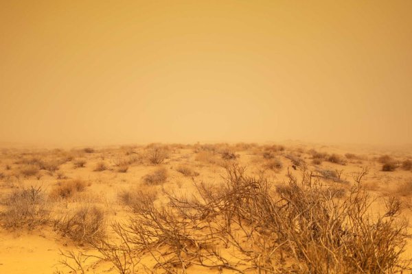 北方沙尘暴蓝色预警，沙尘暴蓝色预警代表的是什么级别？