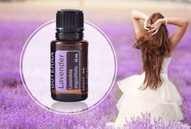 薰衣草精油祛疤应该如何使用