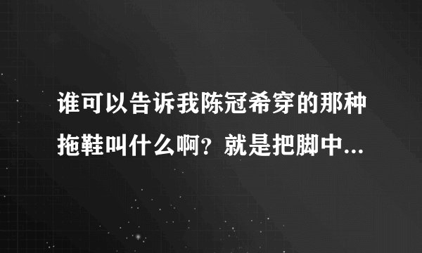 谁可以告诉我陈冠希穿的那种拖鞋叫什么啊？就是把脚中部包得像粽子那样的