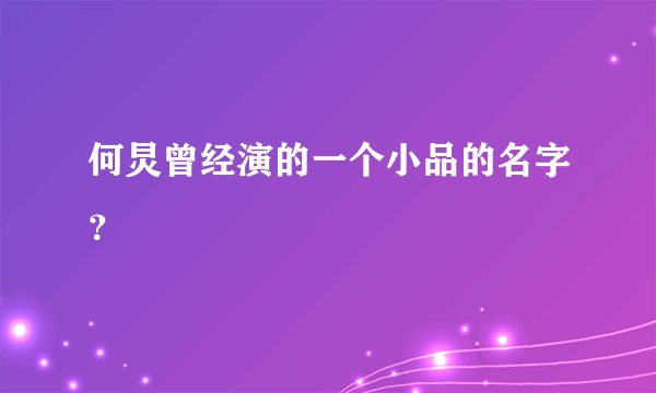 何炅曾经演的一个小品的名字？