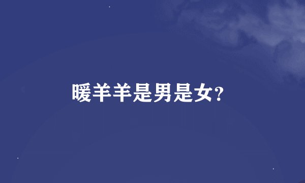 暖羊羊是男是女？