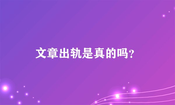 文章出轨是真的吗？