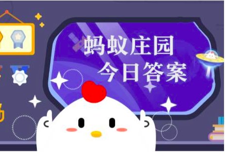 蚂蚁庄园6日内容？