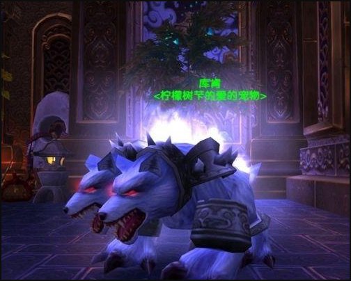 WOW TBC猎人有哪些稀有宠物可以捕捉（旧大陆的不要）