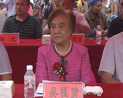 吴桂贤的个人履历