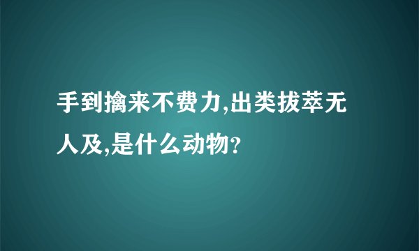 手到擒来不费力,出类拔萃无人及,是什么动物？