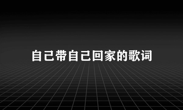 自己带自己回家的歌词
