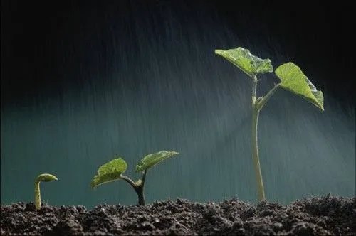 久旱逢甘霖下一句是什么?