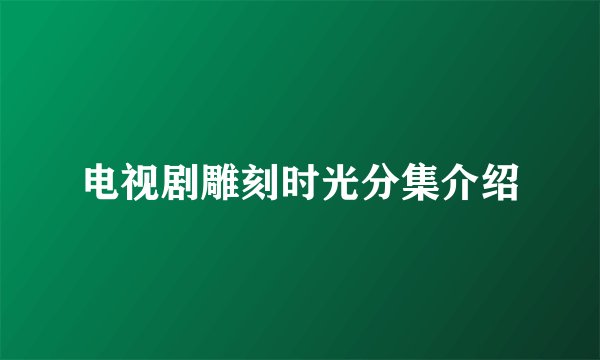 电视剧雕刻时光分集介绍