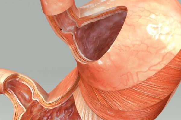 六膜指的是什么呢?