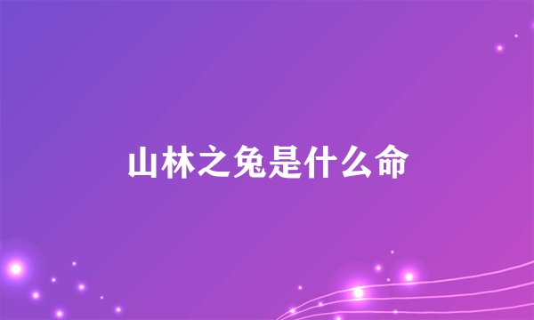 山林之兔是什么命