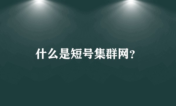 什么是短号集群网？
