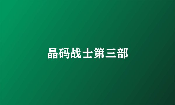 晶码战士第三部