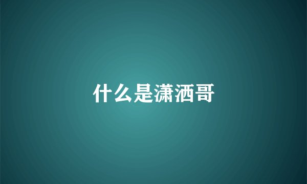 什么是潇洒哥