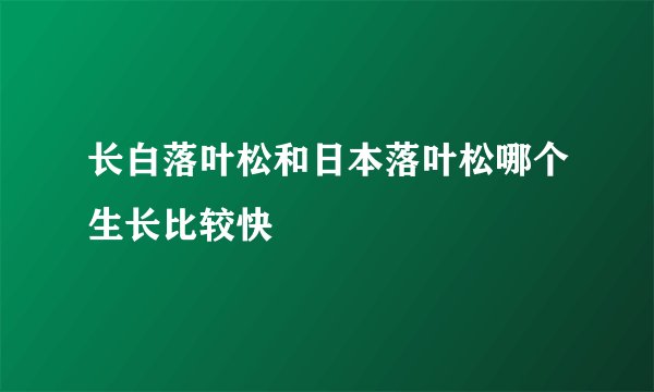 长白落叶松和日本落叶松哪个生长比较快