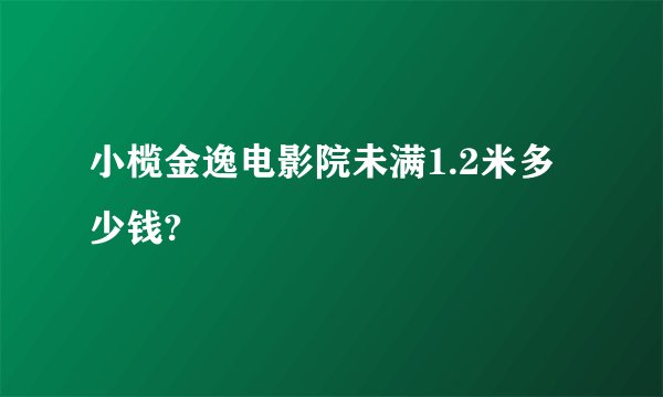 小榄金逸电影院未满1.2米多少钱?