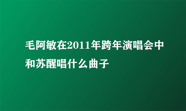 毛阿敏在2011年跨年演唱会中和苏醒唱什么曲子