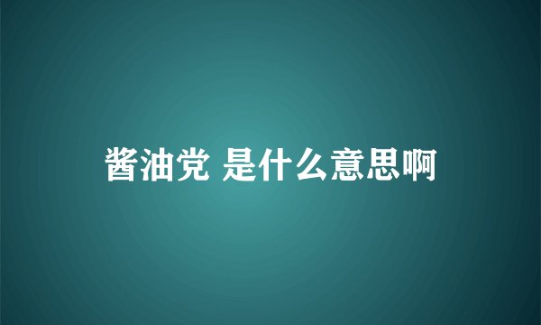 酱油党 是什么意思啊