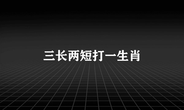 三长两短打一生肖
