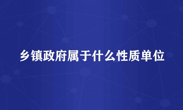 乡镇政府属于什么性质单位