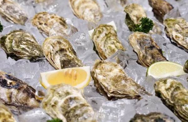 青岛游客海里捡鲍鱼被要500，是游客随意宰杀之过？还是当地人在敲诈？