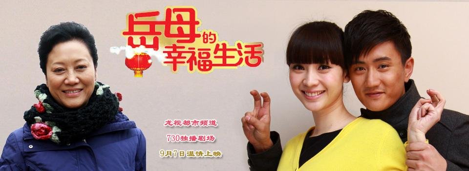 丈母娘的幸福生活电视剧剧情