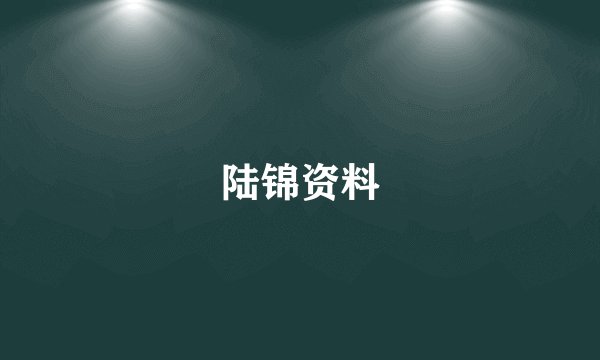陆锦资料