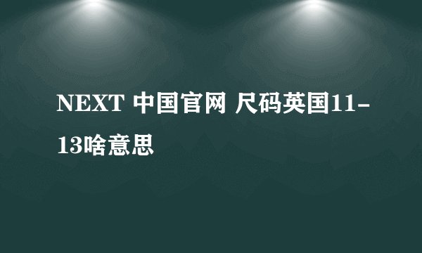 NEXT 中国官网 尺码英国11-13啥意思