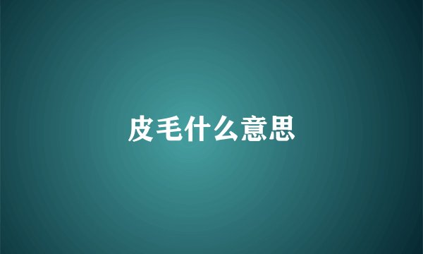 皮毛什么意思