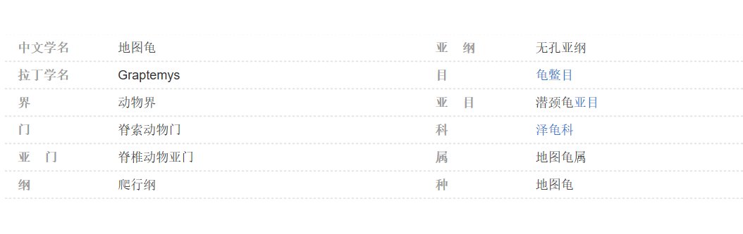 地图龟是属于什么龟种？该怎么养？