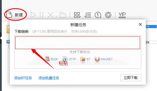 爱love的高清完整版迅雷下载