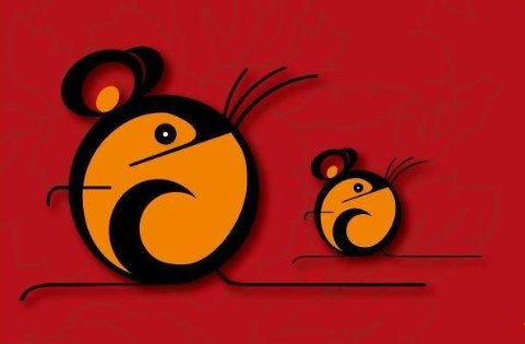 明年是什么年？