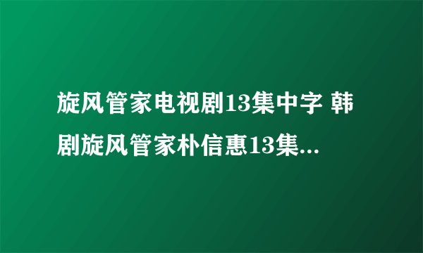 旋风管家电视剧13集中字 韩剧旋风管家朴信惠13集 旋风管家台剧14集下载