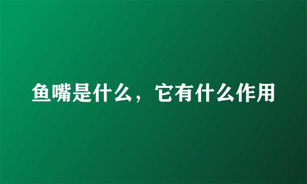 鱼嘴是什么，它有什么作用
