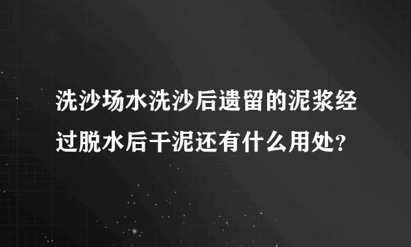 洗沙场水洗沙后遗留的泥浆经过脱水后干泥还有什么用处？