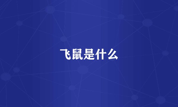 飞鼠是什么
