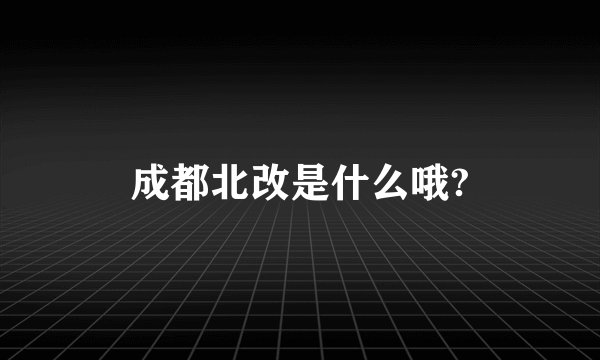 成都北改是什么哦?